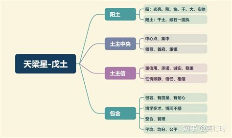 天梁坐命名人|紫微斗数：天梁星详解